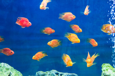 Similar image 10855825