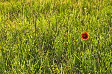 Similar image 10855563