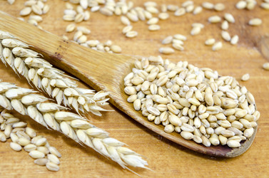 Similar image 10855635