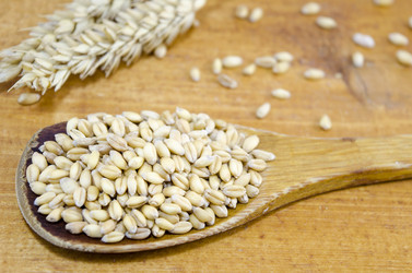 Similar image 10855636