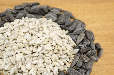 Similar image 10855637