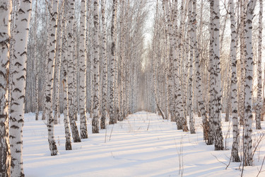 Similar image 10855568