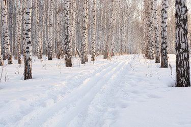 Similar image 10855569