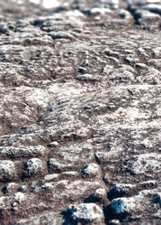 Similar image 10856175