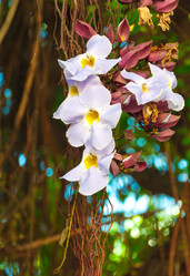 Similar image 10856179