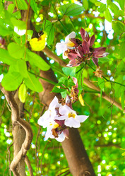 Similar image 10856180