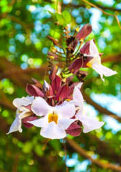 Similar image 10856181