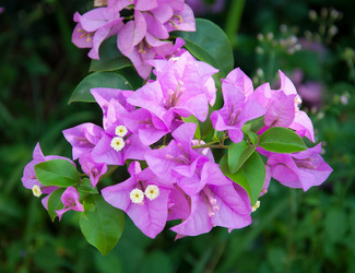 Similar image 10856183