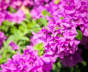 Similar image 10856185