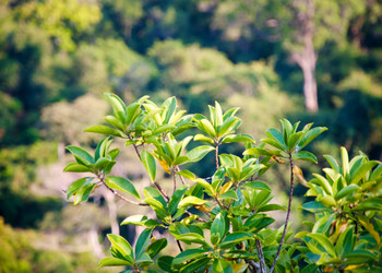 Similar image 10856191