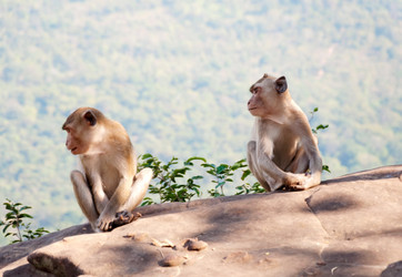 Similar image 10856192