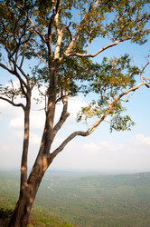 Similar image 10856195