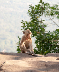 Similar image 10856196