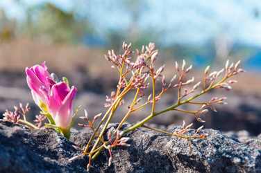 Similar image 10856198