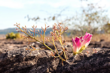 Similar image 10856199