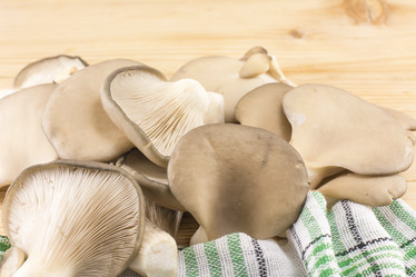 Similar image 10856213