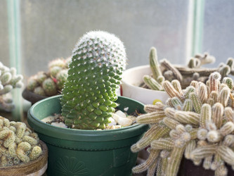 Similar image 10856228