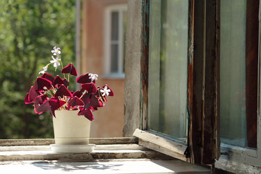 Similar image 10855996