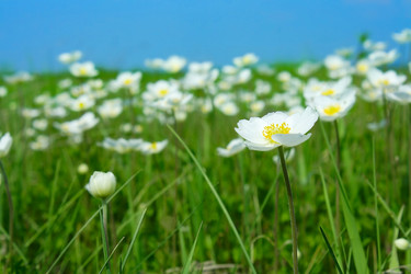 Similar image 10856001