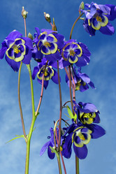 Similar image 10856003