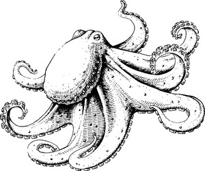 Similar image 10855965