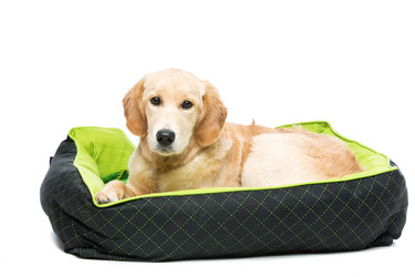 Similar image 10856418