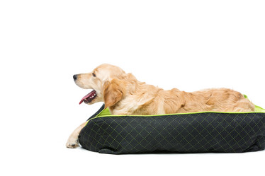 Similar image 10856394