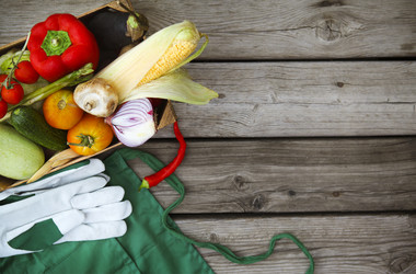 Similar image 10855879