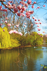 Similar image 10857156