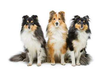 Similar image 10856421