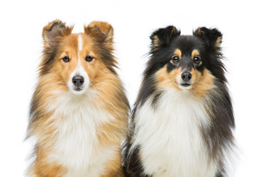 Similar image 10856422