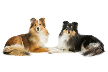 Similar image 10856423