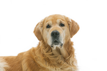 Similar image 10856402