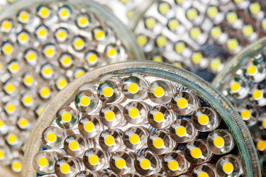 Similar image 10856830