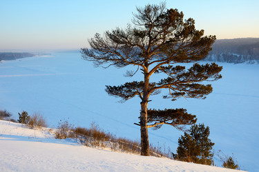 Similar image 10859456