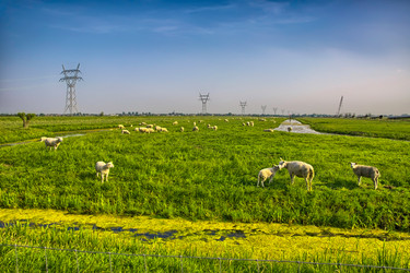 Similar image 10857308