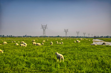 Similar image 10857310