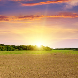 Similar image 10856546