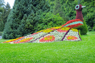 Similar image 10856547