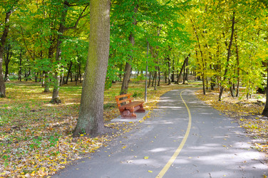 Similar image 10856549