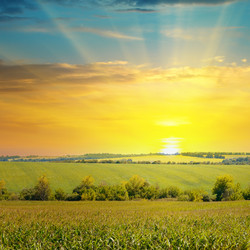 Similar image 10856551