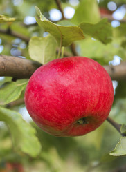 Similar image 10860276