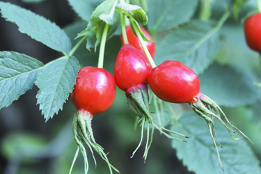 Similar image 10860282