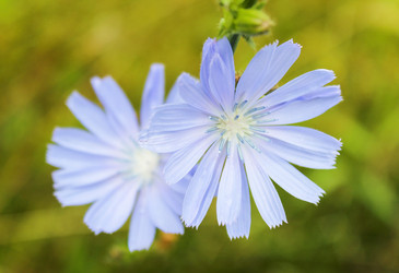 Similar image 10860299