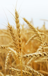 Similar image 10860300