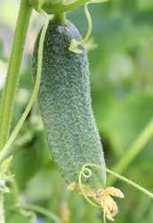 Similar image 10860301