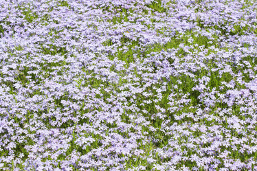 Similar image 10860307