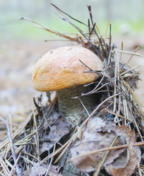 Similar image 10860311