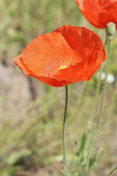 Similar image 10860315