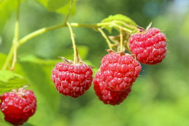 Similar image 10860317